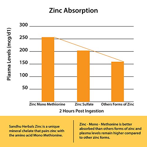 High Potency Zinc 50mg Highly Absorbable Immune Support, Zinc Pills Offer High Potency Alternative to Lozenge, Chewable Tablets, Liquid(8 Month Supply) 2 Pack