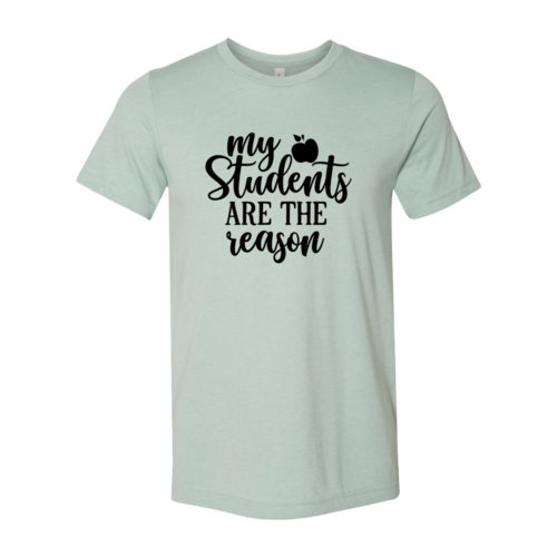 My Students Are The Reason Shirt