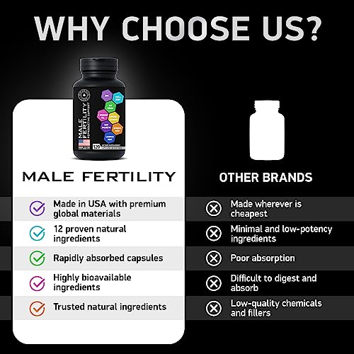 Fertility Supplements for Men - Advanced Fertility Blend for Men with Zinc, Maca, Ashwagandha, L-Arginine - Conception Fertility Prenatal Vitamins and Male Fertility Support Supplement - 120 Pills