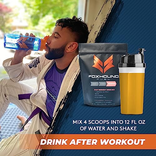 Foxhound Fuel Natural Post Workout Drink | Recover | Strawberry Lemonade | 5G BCAA, 2G L-Glutamine, Turmeric + Black Pepper, Electrolytes | Keto Friendly | 22 Servings