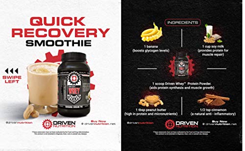 Driven WHEY- Grass Fed Whey Protein Powder: Delicious, Clean Protein Shake- Improve Muscle Recovery with 23 Grams of Protein with Added BCAA and Digestive Enzymes (Banana Pie, 5 lb)