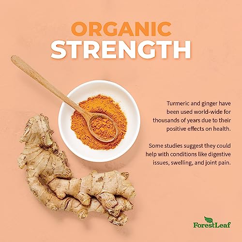 2265mg Extra Strength Organic Turmeric Supplement - with BioPerine and Ginger for High Absorption -Turmeric Curcumin with Black Pepper Extract - 95% Curcuminoids - Herbal Joint Support (120 Capsules)