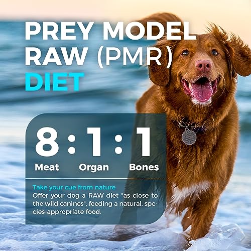 FURRY WONDER Freeze Dried Raw Dog Food Salmon and Cod Recipe 16 Ounce, Grain Free High Protein Dog Food for Complete Meal or Food Topper, USA Made Freeze Dried Raw Diet for Skin & Coat Vitalize