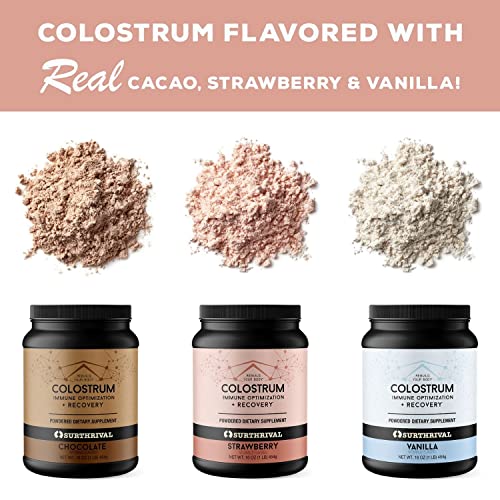 Surthrival: Naturally Flavored Colostrum Powder, Chocolate (16oz), Immune Optimization & Recovery, Powdered Dietary Supplement, Gut Health, Immune Support, Keto Friendly