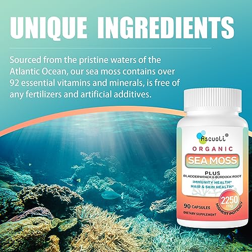 Ascuoli Organic Sea Moss 2250mg, Seamoss, Bladderwrack & Burdock Root, Sea Moss Capsules, Wild Irish Sea Moss for Immune Health, Mood Booster, Thyroid, Skin, Nails & Joint Health - 90 Vegan Capsules