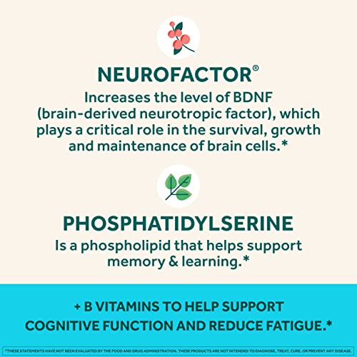 NEURIVA Plus Brain Supplement for Memory,Focus & Concentration+Cognitive Function with Vitamins B6 & B12 and Clinically Tested Nootropics Phosphatidylserine and Neurofactor,50ct Strawberry Gummies