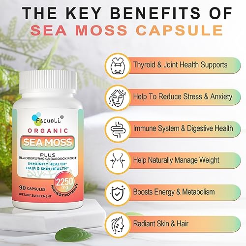 Ascuoli Organic Sea Moss 2250mg, Seamoss, Bladderwrack & Burdock Root, Sea Moss Capsules, Wild Irish Sea Moss for Immune Health, Mood Booster, Thyroid, Skin, Nails & Joint Health - 90 Vegan Capsules