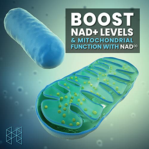 HPN Supplements NAD3 NAD+ Booster | Value Size 2 Month Supply | Clinically Proven & Independently Tested - Metabolic Repair | 311 mg per Serving - 120 Capsules