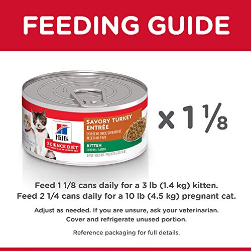 Hill's Science Diet Wet Cat Food, Kitten, Savory Turkey Entrée, 5.5 oz. Cans, 24-Pack