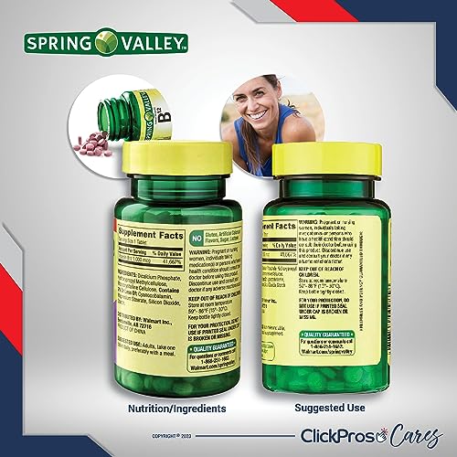 Spring Valley Timed-Release Vitamin B12 Tablets, 1,000 mcg, 60 Count 2 Pack Bundle (120 Count Total) - Includes Vitamin Guide and Pill Container (4 Items)!