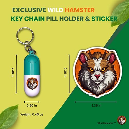 Wild Hamster Spring Valley Cinnamon Capsules 1000mg, 400 Count Bundle with Exclusive Keychain Pill Holder & Sticker (3 Items)