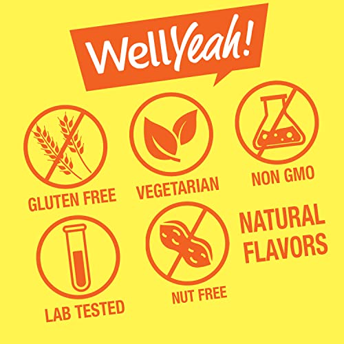 WellYeah Zinc Gummies 50 mg - Supports Healthy Immune Function and Antioxidant Health - Natural Berry Flavor - Gluten-Free, GMO-Free - Chewable Gummy Dietary Supplement - 60 Gummies