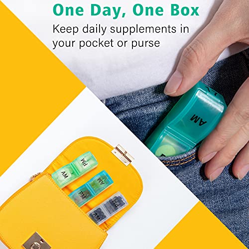 Monthly Pill Organizer For 30 Day, 2 Times a Day, One Month Pill Case AM PM, Travel 4 Week Pill Box, 31 Day Pill Medicine Container Vitamins Holder for Fish Oil, Medications and Supplements