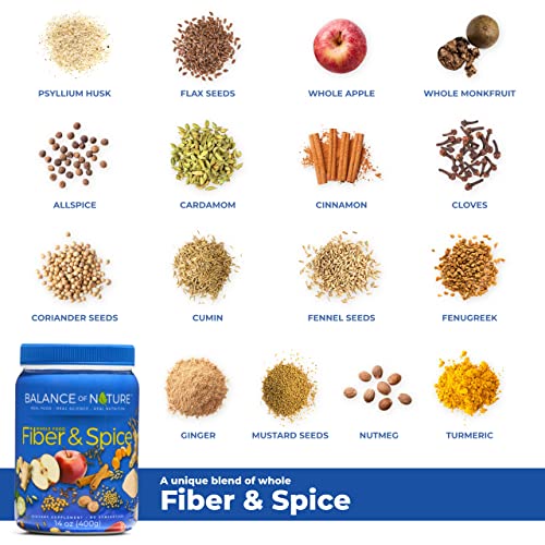 Balance of Nature Fiber & Spice - Psyllium Husk, Flax Seed, Turmeric & Apple - Spiced Cider Powdered Drink Mix - 30 Servings