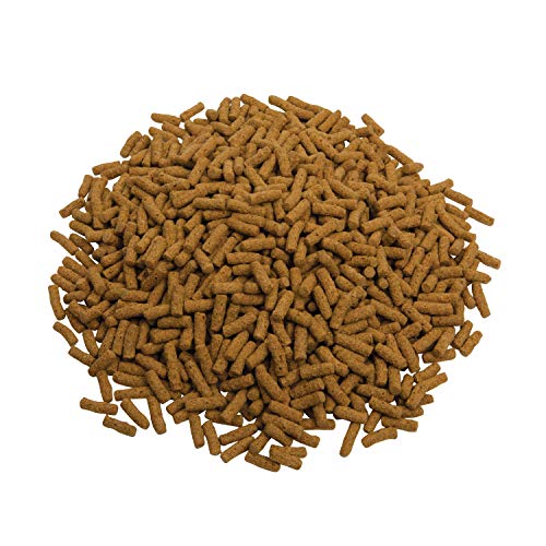 TetraPond Spring And Fall Diet 3.08 Pounds, Pond Fish Food, For Goldfish And Koi (16469), 3 lb, 7 L