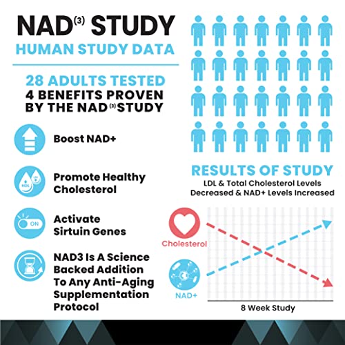 HPN Supplements NAD3 NAD+ Booster | Value Size 2 Month Supply | Clinically Proven & Independently Tested - Metabolic Repair | 311 mg per Serving - 120 Capsules