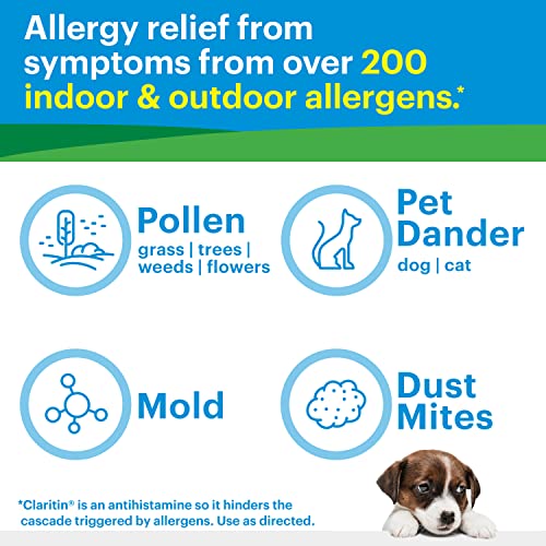 Claritin 24 Hour Allergy Medicine, Non-Drowsy Prescription Strength Allergy Relief, Loratadine Antihistamine Tablets For Over 200 Indoor and Outdoor Allergens, Adult Tablets, 100 Count (Pack of 1)