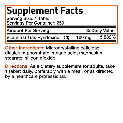 Vitamin B6 100 mg Premium Vitamin B6 Supplement – Promotes Protein Metabolism and Immune Function - 250 Tablets