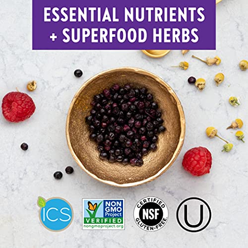 New Chapter Women's Multivitamin, Every Woman, Fermented with Probiotics + Iron + Vitamin D3 + B Vitamins + Organic Non-GMO Ingredients - 72 ct (727783003034)