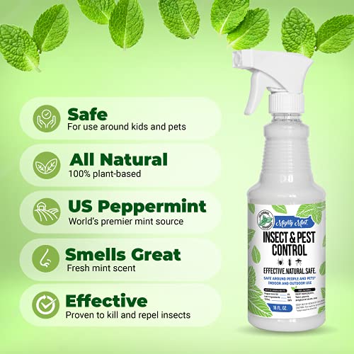 Mighty Mint - 16oz Insect and Pest Control Peppermint Oil - Natural Spray for Spiders, Ants, and More