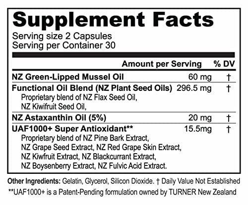 Turner Omega-3 New Zealand Green Lipped Mussel Oil, 53x Higher Potency with UAF1000+ Super Antioxidant for Superior Joint Comfort & Mobility, No Fishy Aftertaste, 1 Bottle, 60 Softgels