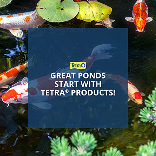 TetraPond Spring And Fall Diet 3.08 Pounds, Pond Fish Food, For Goldfish And Koi (16469), 3 lb, 7 L