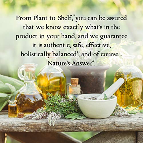 Nature's Answer Alcohol-Free Sambucus Dietary Supplement 16oz Liquid | Daily Immune and Antioxidant Support | Made in The USA | Gluten-Free & Vegan | Single Count