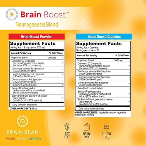 Brain Boost Capsules | with Curcumin, Cordyceps, Hericium, Ceylon Cinnamon, Purified Shilajit, and Ashwagandha | 30 Servings