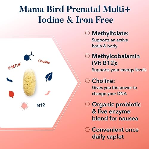 Best Nest Wellness Mama Bird Prenatal Vitamin Iron Free, No Iron or Iodine, Methylfolate (Folic Acid for Pregnant Women), Natural Organic Herbal Blend, Vegan, Once Daily (30 Count)