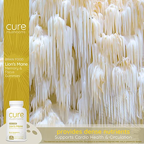 CURE MUSHROOMS Lion's Mane Gummies - Organic Mushroom Supplement - Supports Brain Function, Memory & Focus - Delicious Fruit Gummy