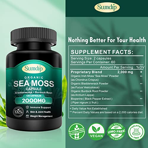 Organic Sea Moss Capsules 2000mg Irish Sea Moss, Burdock Root, Bladderwrack for Immune System, Gut Cleanse, Thyroid Supplement, 120 Vegan Sea Moss with All-Natural Sea Moss Powder for Men Women