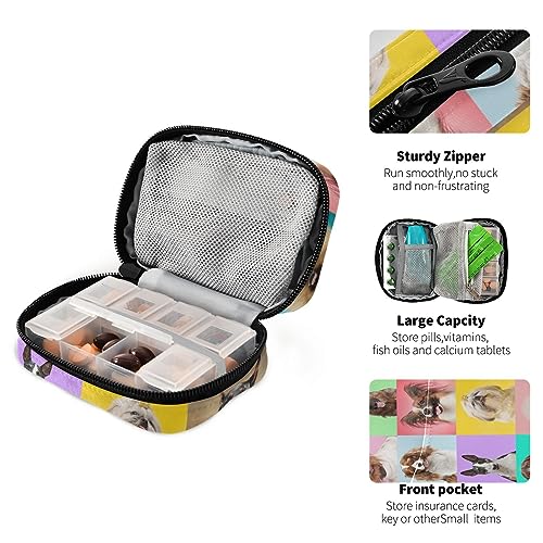 Doggies Travel Pill Organizer Case Daily Medicine Organizer Travel Pill Box Pill Container for Vitamin Fish Oil Pills Supplements