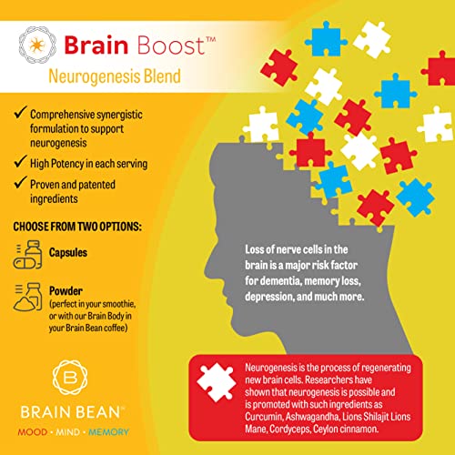 Brain Boost Capsules | with Curcumin, Cordyceps, Hericium, Ceylon Cinnamon, Purified Shilajit, and Ashwagandha | 30 Servings