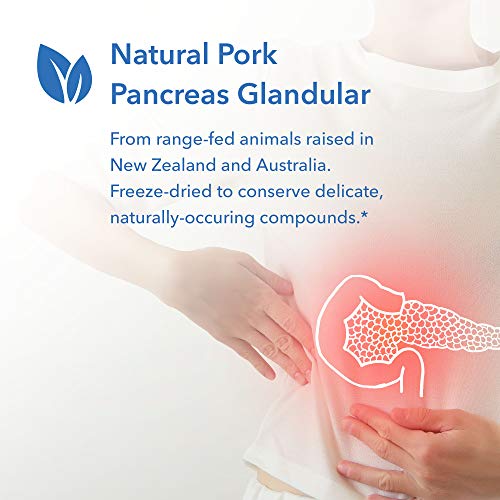 Allergy Research Group Pancreas Dietary Supplement - Digestive Support, Natural Glandur (Pork), Hypoallergenic, Vegetarian Capsules, Gluten Free - 720 Count