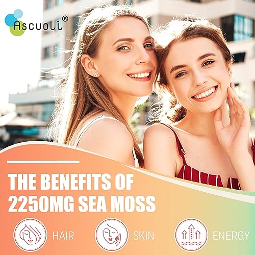 Ascuoli Organic Sea Moss 2250mg, Seamoss, Bladderwrack & Burdock Root, Sea Moss Capsules, Wild Irish Sea Moss for Immune Health, Mood Booster, Thyroid, Skin, Nails & Joint Health - 90 Vegan Capsules