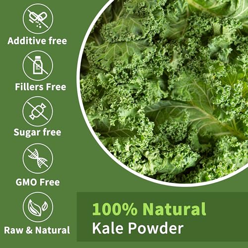 Kale Powder Natural - Green Superfood for Kale Drink，Antioxidant, Supports osteoporosis & Function Supplement, Rich in Dietary Fiber & Mineral, Vegan, 8oz