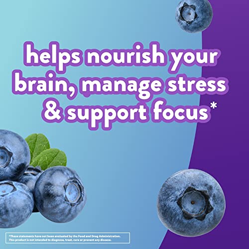 Vitafusion Brain Food Gummy Supplement: 125mg Ashwagandha, 100mg Phosphatidylserine per Serving, B Vitamins, 50ct (25 Day Supply), Blueberry Flavor from America’s Number One Gummy Vitamin Brand