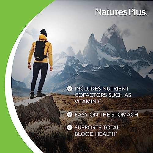 NaturesPlus Hema-Plex Iron - 60 Fast-Acting Vegetarian Capsules - 85 mg Chelated Iron - Total Blood Health - with Vitamin C & Bioflavonoids - Vegan, Gluten Free - 20 Servings