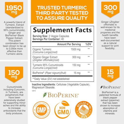 Turmeric Curcumin with BioPerine & Ginger 95% Standardized Curcuminoids 1950mg - Black Pepper for Max Absorption, Natural Joint Support, Natures Tumeric Extract Supplement Non-GMO - 120 Capsules