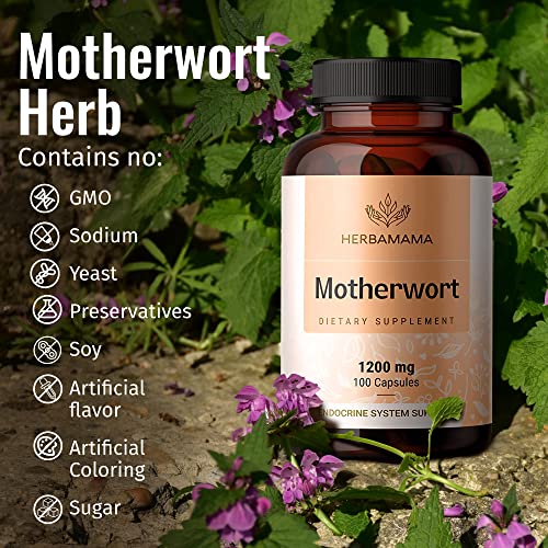 HERBAMAMA Motherwort Capsules - Organic Motherwort Herb Pills - Vegan Supplement - 1200 mg - 100 Caps