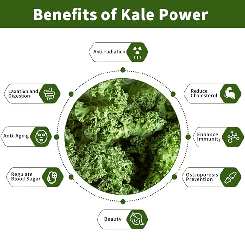 Kale Powder Natural - Green Superfood for Kale Drink，Antioxidant, Supports osteoporosis & Function Supplement, Rich in Dietary Fiber & Mineral, Vegan, 8oz