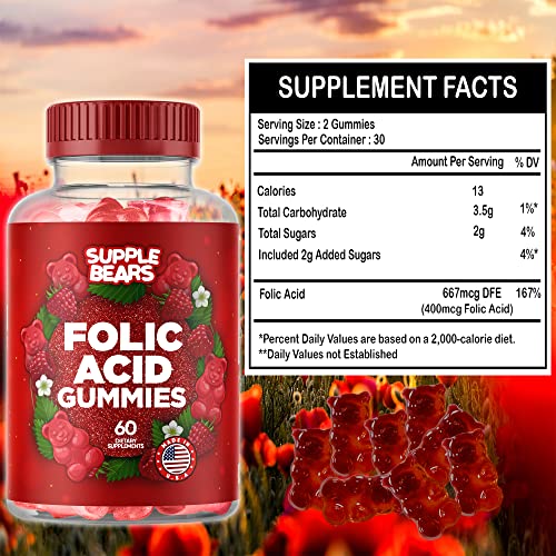 Supplebears Folic Acid Gummies 400mcg - Essential Prenatal & Pregnancy Gummy for Women, Moms & Baby to Be - 60 Raspberry Flavored Folate Gummy Vitamins - Made in The USA