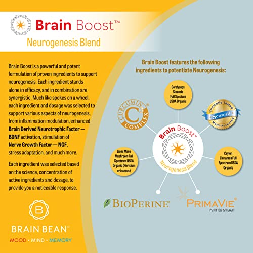 Brain Boost Capsules | with Curcumin, Cordyceps, Hericium, Ceylon Cinnamon, Purified Shilajit, and Ashwagandha | 30 Servings