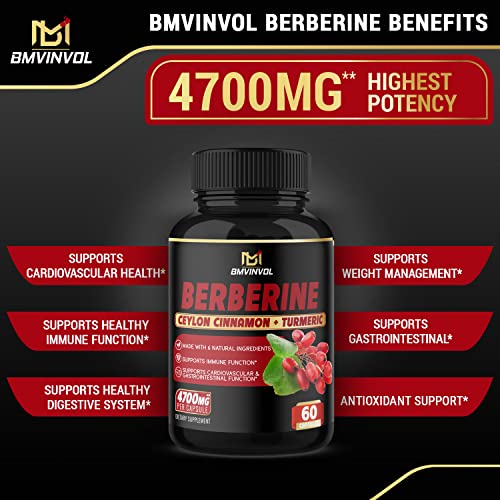 BMVINVOL (2 Packs) Berberine Supplement 4700mg Plus Ceylon Cinnamon, Turmeric - 120 Capsules - Supports Immune Function - Berberine HCl Supplement Pills - 4 Months Supply