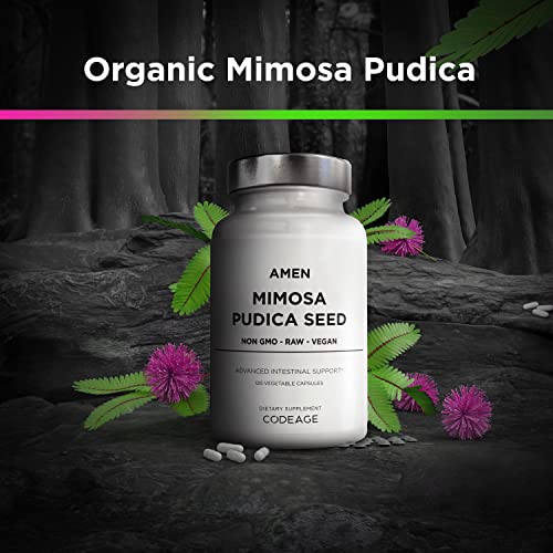 Amen Organic Mimosa Pudica Seeds Capsules, 2 Month Supply, Vegan Mimosa Pudica Seed Plant Supplement - Mimosine Sensitive Plant Pills - Fat Soluble Dietary Supplement - Non-GMO & Vegan - 120 Capsules