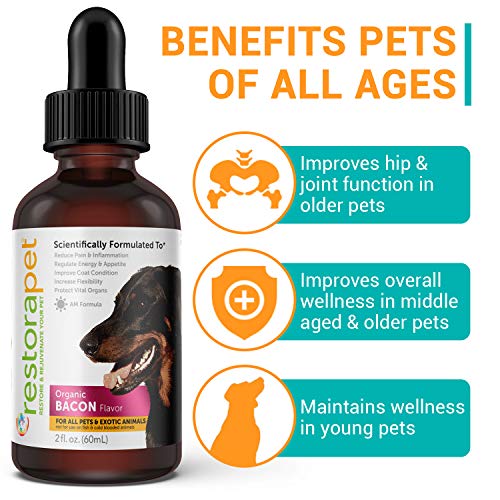 RestoraPet 1-Pack Dog & Cat Bacon Liquid Multivitamin | Dog Arthritis Pain Relief | Hip & Joint Vitamins for Dogs - Anti Inflammatory Supplement for Dogs & Cats | Organic & Non-GMO, Vet Approved