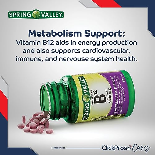 Spring Valley Timed-Release Vitamin B12 Tablets, 1,000 mcg, 60 Count 2 Pack Bundle (120 Count Total) - Includes Vitamin Guide and Pill Container (4 Items)!