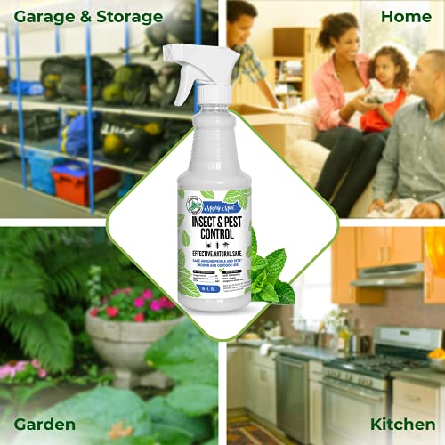 Mighty Mint - 16oz Insect and Pest Control Peppermint Oil - Natural Spray for Spiders, Ants, and More