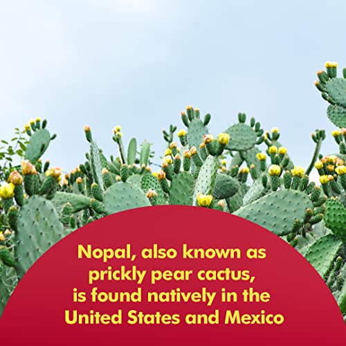 Santo Remedio Nopal. Sugar and Gluten Free Dietary Supplement. Prickly Pear Cactus Dietary Supplement. 700 mg, 180 Capsules.