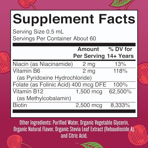 MaryRuth Organics Vitamin B Complex | B Complex Vitamins | 2 Month Supply | Biotin | Vitamin B12 | Niacin | Folate | Energy Support Supplement | Vegan | USDA Organic | Non-GMO | Gluten Free | 1 Fl Oz